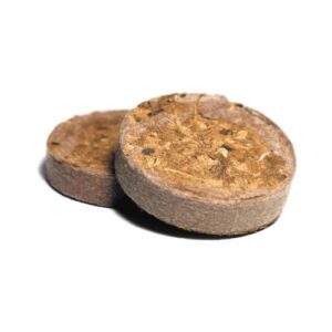 UGRO - PLUG RHIZA BULK 38 mm. - 75 ml.