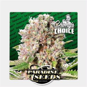 PARADISE SEEDS - MENDOCINO SKUNK - Chong's Choice - 10 semi