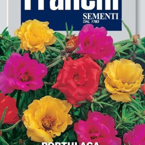 Portulaca a fiori doppi - multicolor