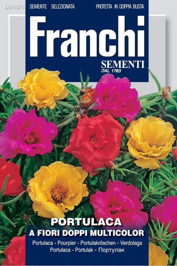 Portulaca a fiori doppi - multicolor