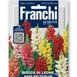 Bocca di Leone nana - multicolor