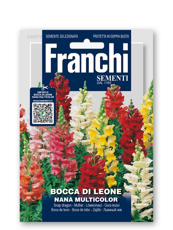 Bocca di Leone nana - multicolor