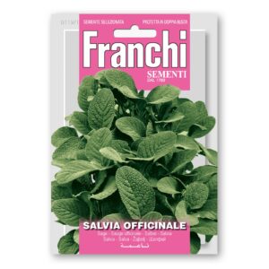 Salvia Officinale