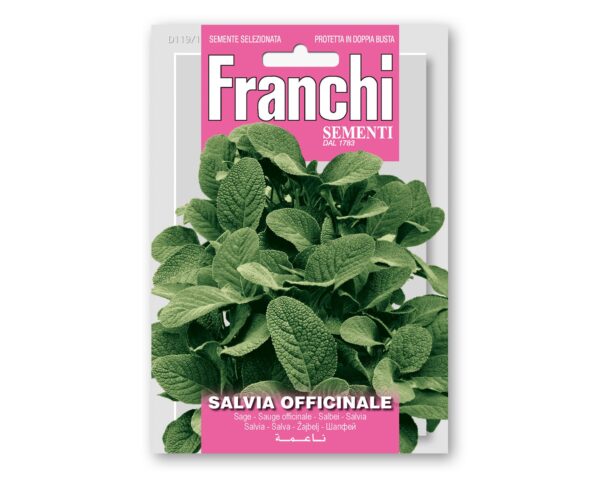 Salvia Officinale