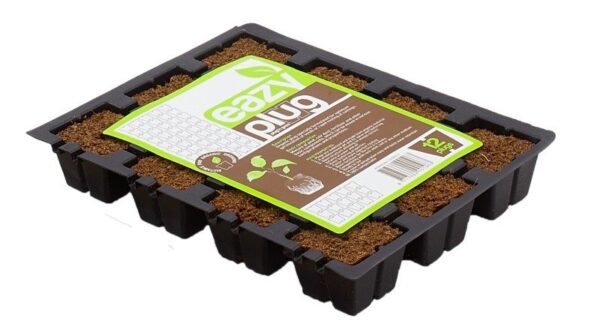 EAZY PLUG - VASSOIO 12 x Cubi Terra 3.5x3.5 cm.