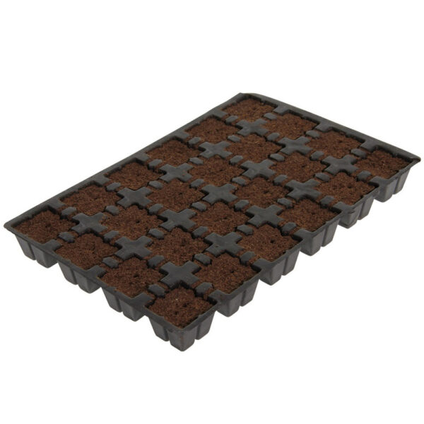 EAZY PLUG - VASSOIO 24 x Cubi Terra 3.5x3.5 cm. - immagine 3