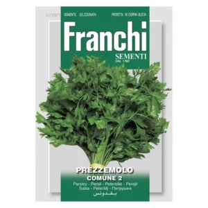 Prezzemolo comune n.2