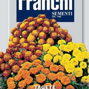Tagete nano a fiori doppi - mix