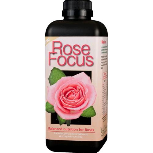 GROWTH TECHNOLOGY - ROSE FOCUS - 300 ml