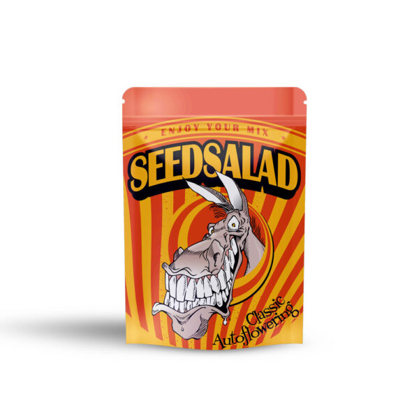 SEEDSALAD - Auto AK XXL fem. - 3 semi - immagine 2