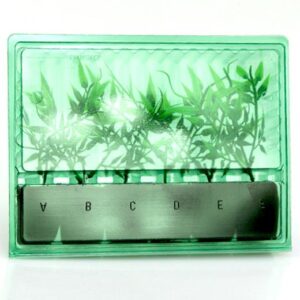 BLISTER TRASPORTO 6 TALEE (altezza max 12 cm)