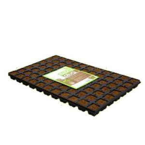 EAZY PLUG - VASSOIO 77 - Cubetti da germinazione 3.5x3.5 cm.