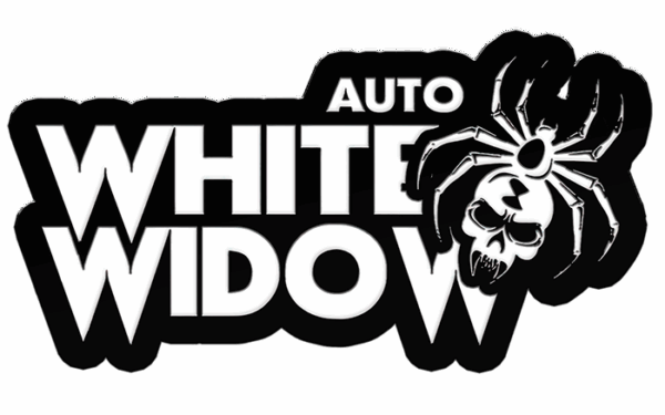 FAST BUDS - Original WHITE WIDOW AUTO - 1 seme