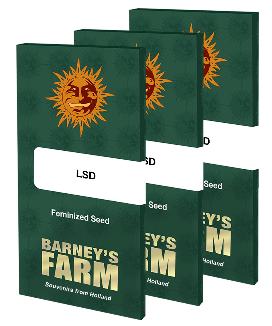 BARNEY'S FARM - LSD fem. - 10 semi - immagine 2