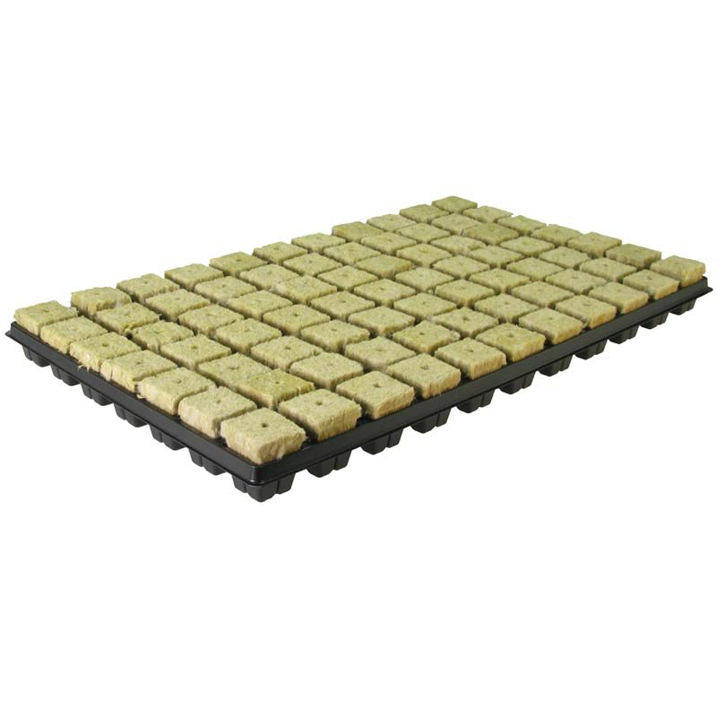 GRODAN - Vassoio in plastica con 77 CUBETTI in Lana di Roccia - 53 x 31 cm.