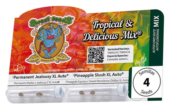SWEET SEEDS - TROPICAL AND DELICIOUS MIX (Auto) - 4 semi (2x Pineapple Slush XL Auto + 2x Permanent Jealousy XL Auto)