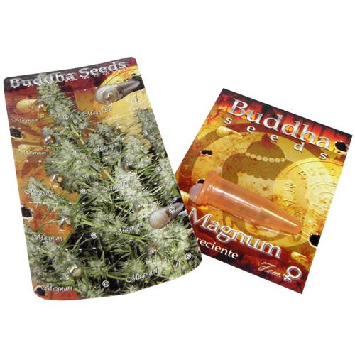 BUDDHA SEEDS - MAGNUM Auto - 3 semi - immagine 2