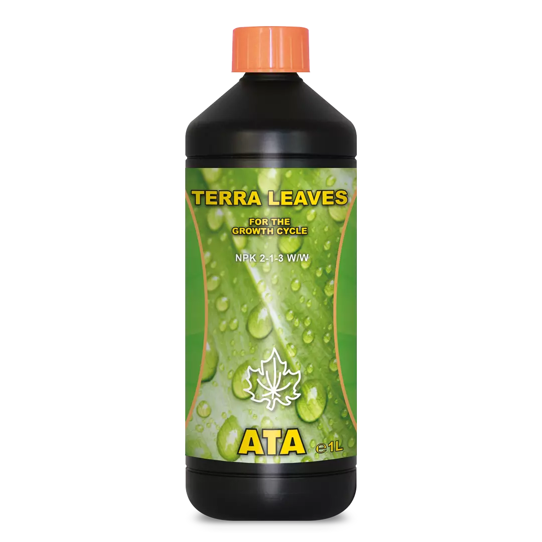 ATAMI Ata - TERRA LEAVES (vegetativa)